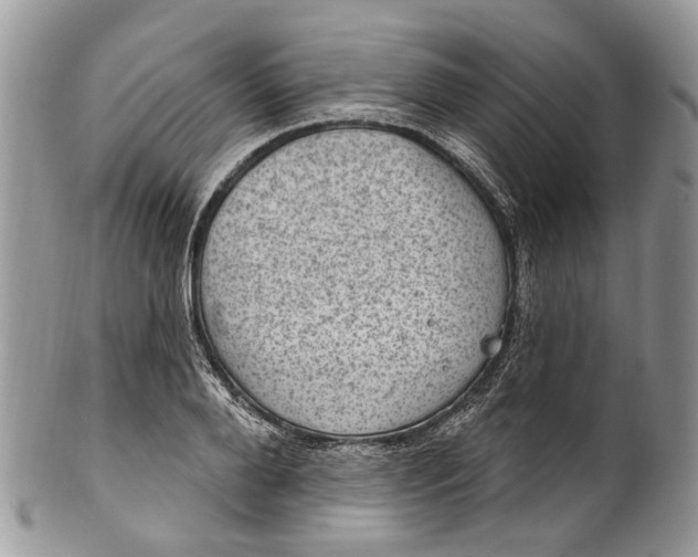 X0000101970888200808011128
