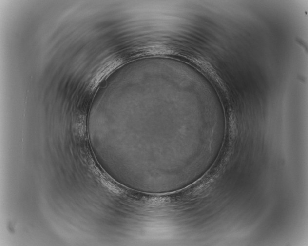 X0000101970889200808011128