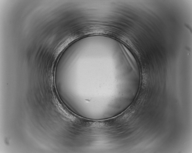 X0000101970890200808011128