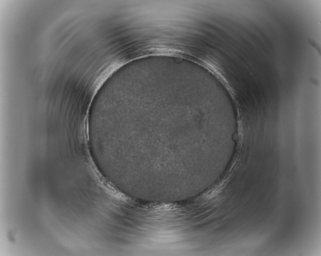 X0000101970891200808011128