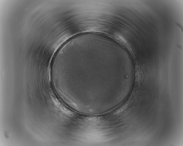 X0000101970892200808011128