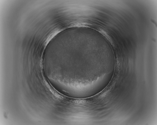 X0000101970893200808011128