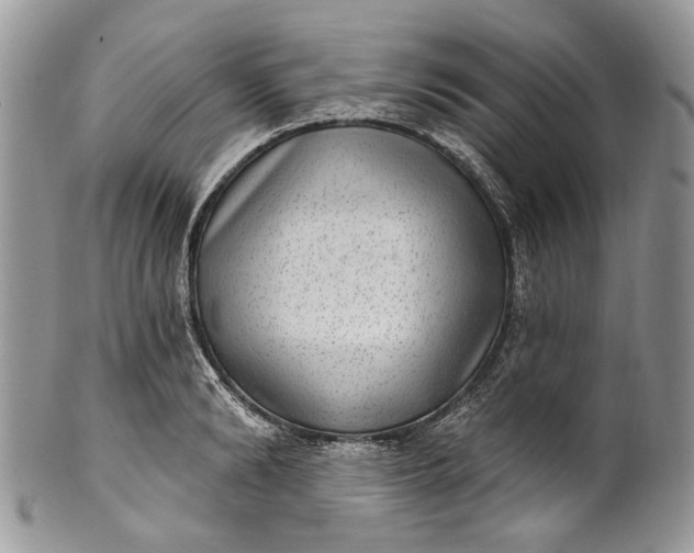 X0000101970894200808011128