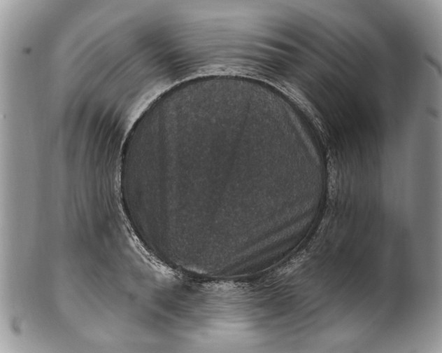 X0000101970896200808011128