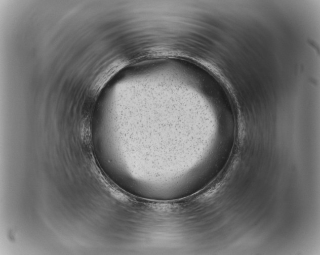 X0000101970897200808011128