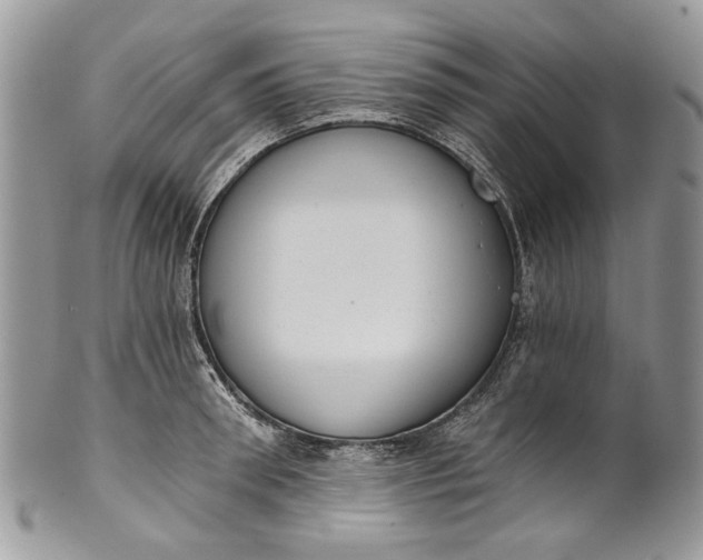X0000101970898200808011128