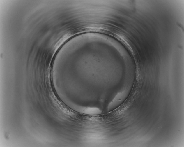X0000101970899200808011128
