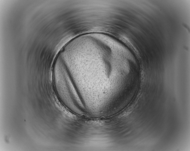 X0000101970900200808011128