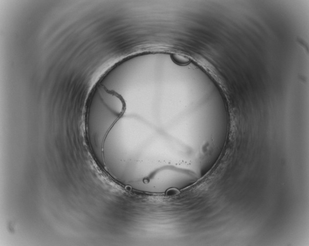 X0000101970904200808011128