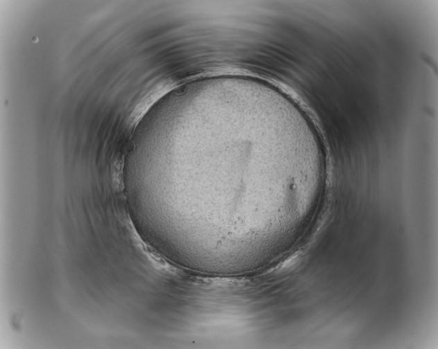 X0000101970905200808011128