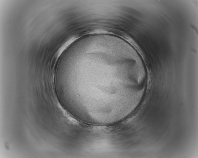 X0000101970909200808011128