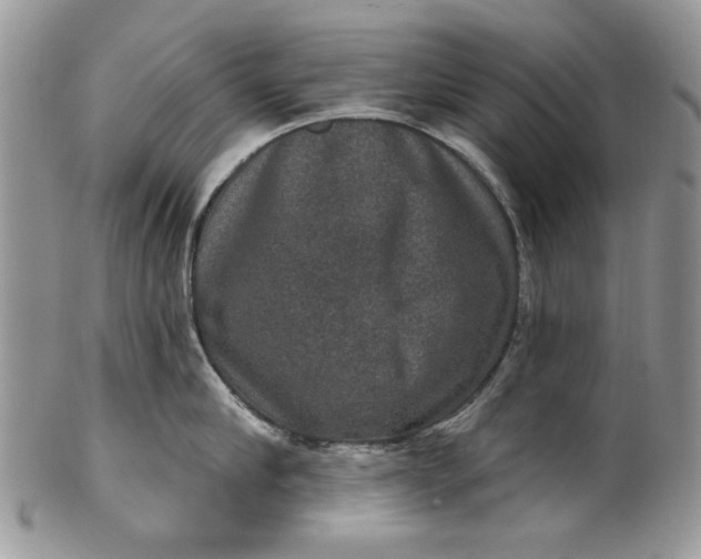X0000101970910200808011128