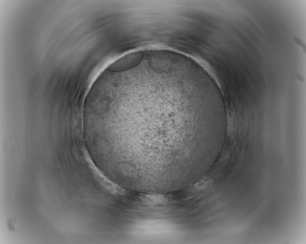 X0000101970911200808011128