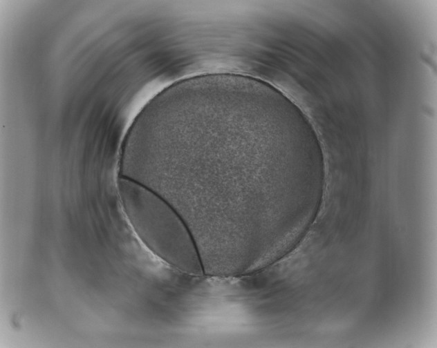 X0000101970912200808011128