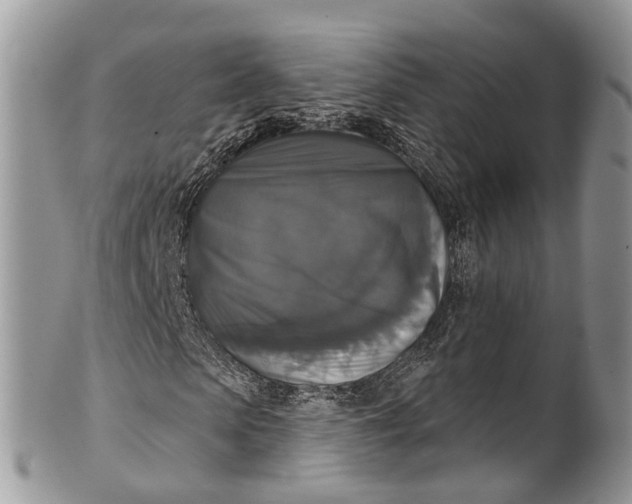 X0000101970913200808011127