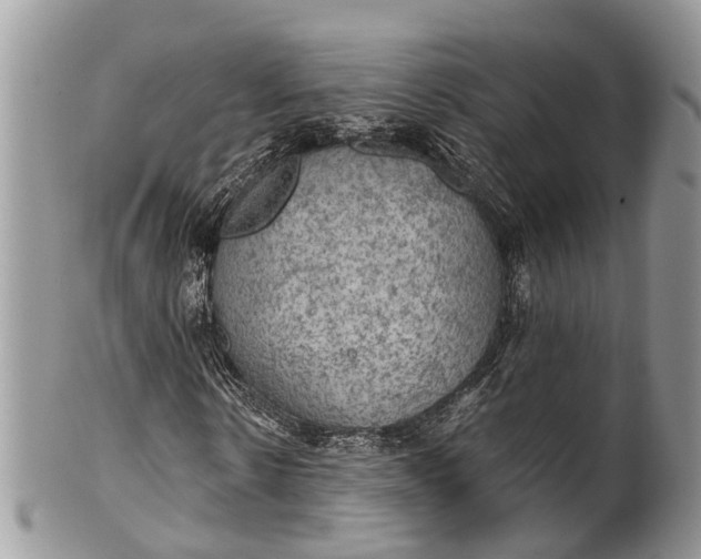 X0000101970914200808011127