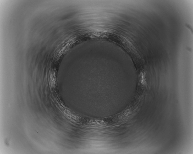 X0000101970915200808011127