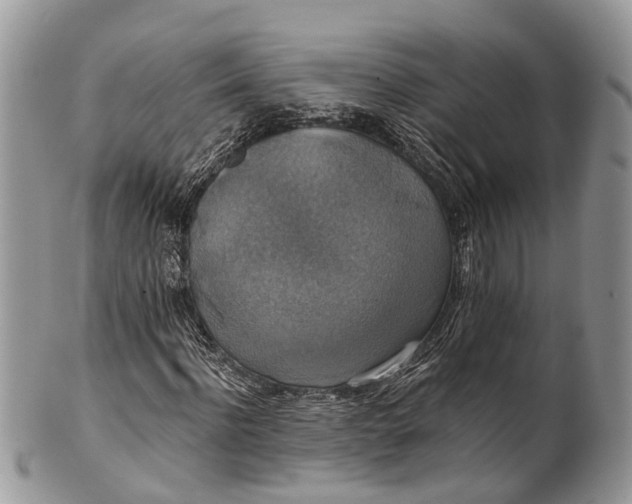 X0000101970916200808011127