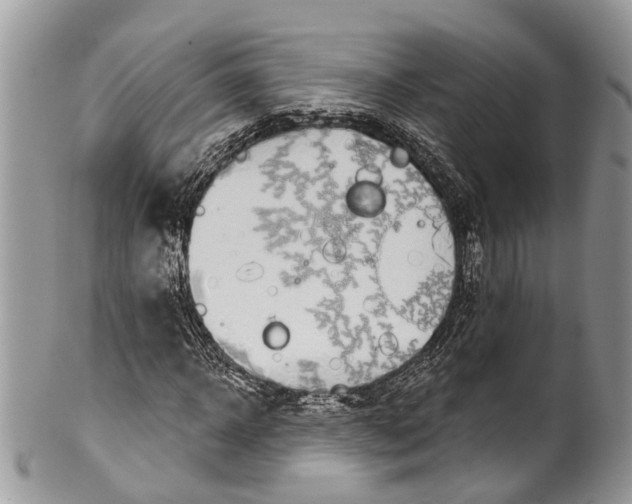 X0000101970918200808011127