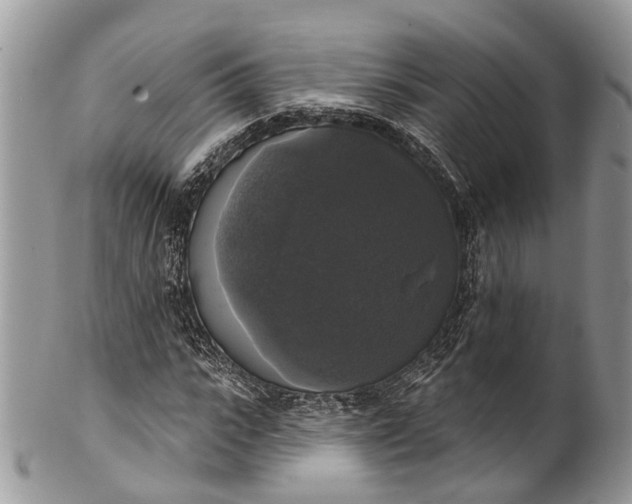 X0000101970919200808011127