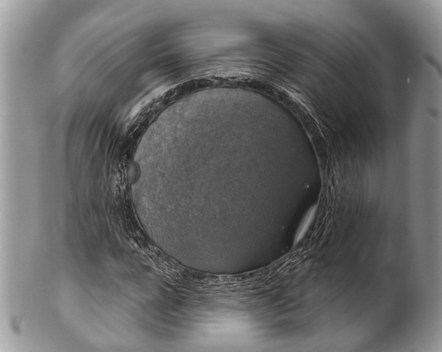 X0000101970920200808011127