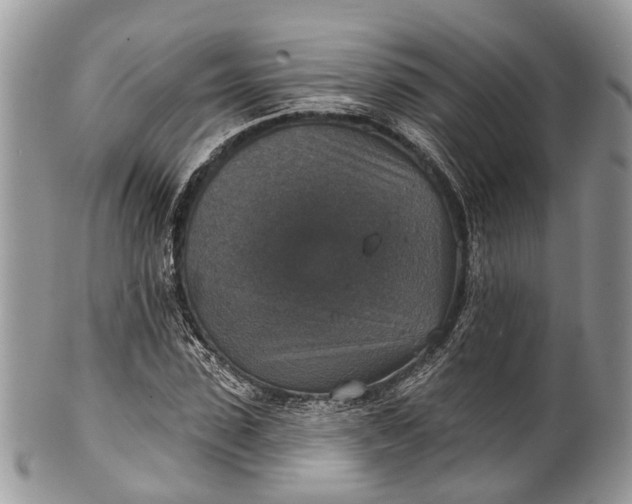 X0000101970923200808011127