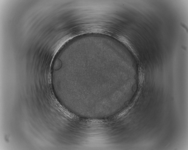 X0000101970924200808011127