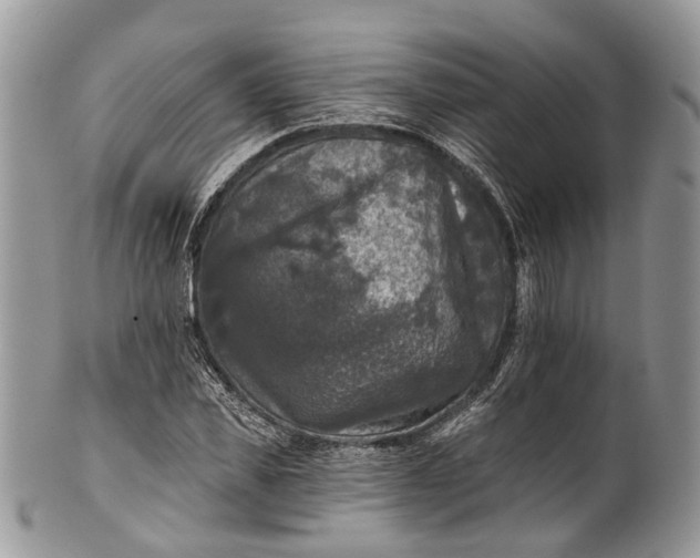 X0000101970925200808011127