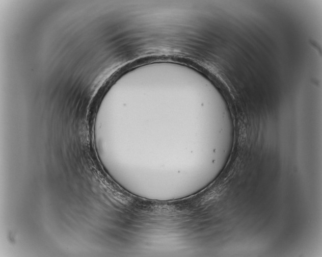 X0000101970927200808011127