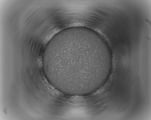 X0000101970929200808011127
