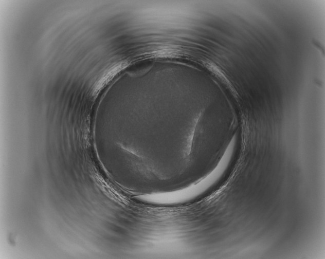 X0000101970930200808011127