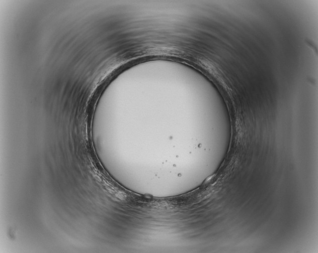 X0000101970931200808011127