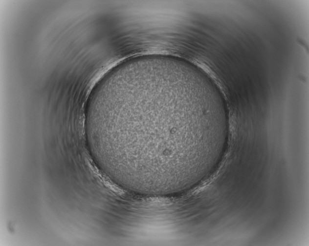 X0000101970933200808011127