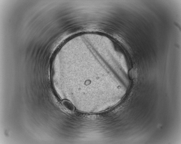 X0000101970934200808011127