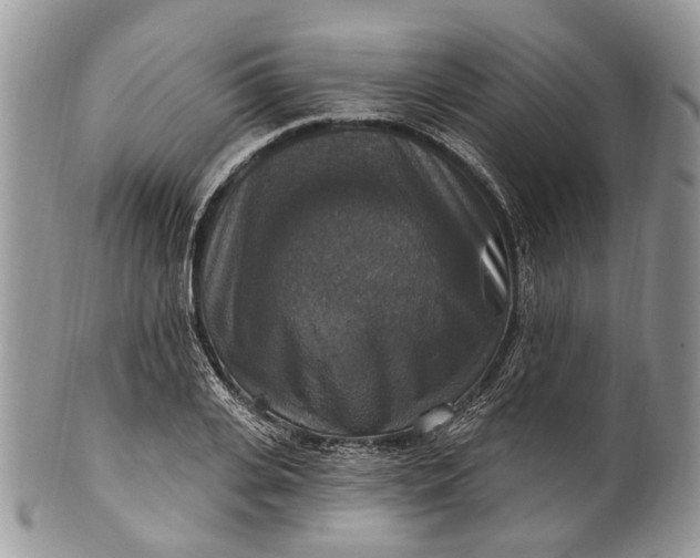 X0000101970935200808011127