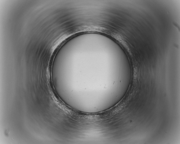 X0000101970936200808011127