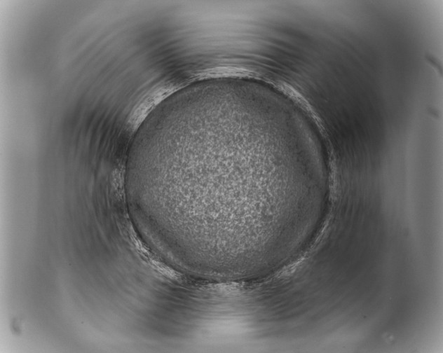 X0000101970937200808011127