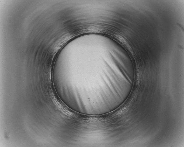 X0000101970938200808011127