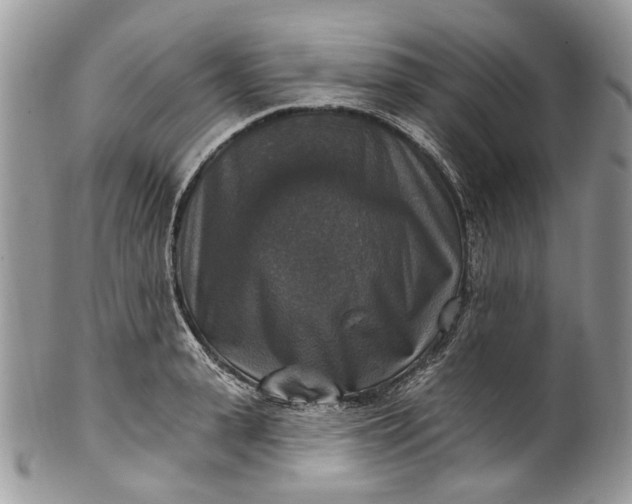 X0000101970943200808011128