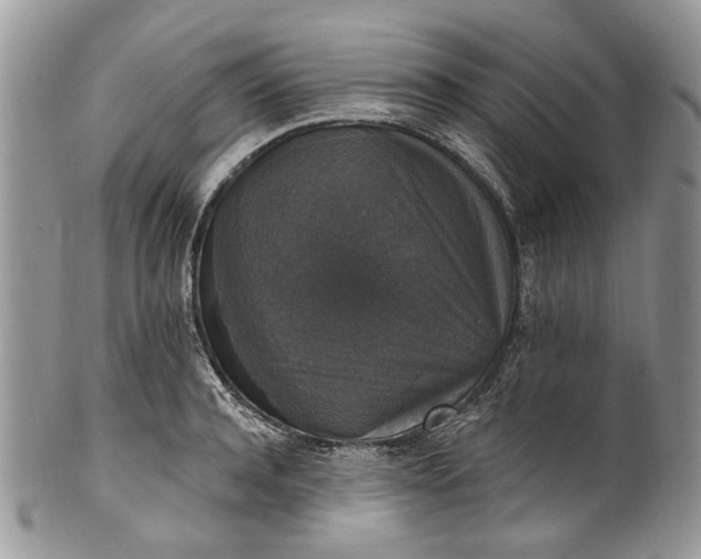 X0000101970944200808011128
