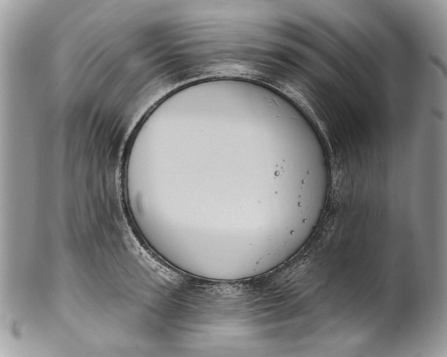 X0000101970947200808011128