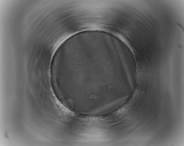 X0000101970951200808011128