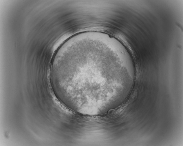 X0000101970952200808011128