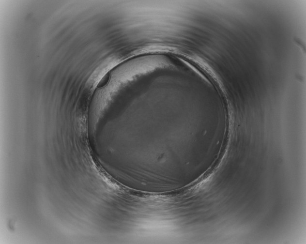 X0000101970953200808011128