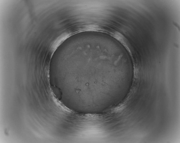 X0000101970954200808011128