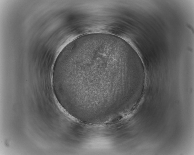 X0000101970957200808011128