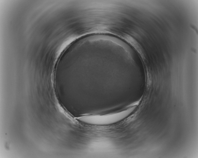 X0000101970958200808011128
