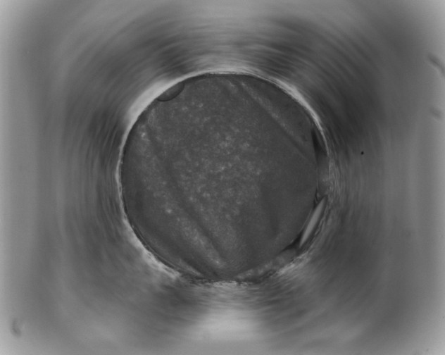 X0000101970959200808011128