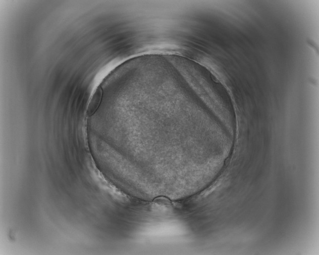 X0000101970960200808011128