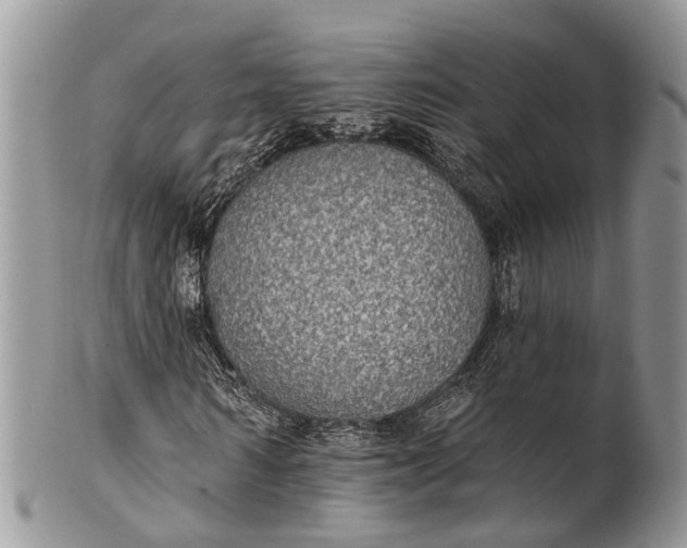 X0000101970962200808011127